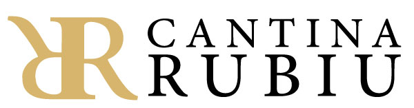 rubiulogo
