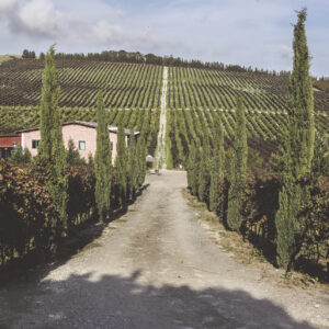 Dell'Aera