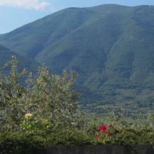 Capolino Perlingieri
