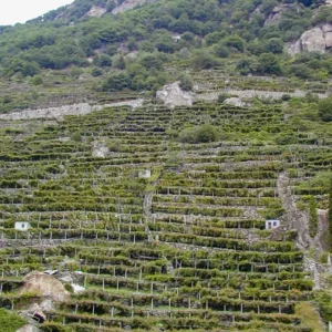 Caves de Donnas