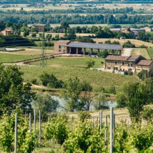 Monte delle Vigne