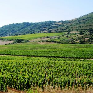 Cantina Pedres